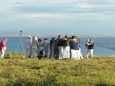 Abbraccio di gruppo in cerchio, in natura